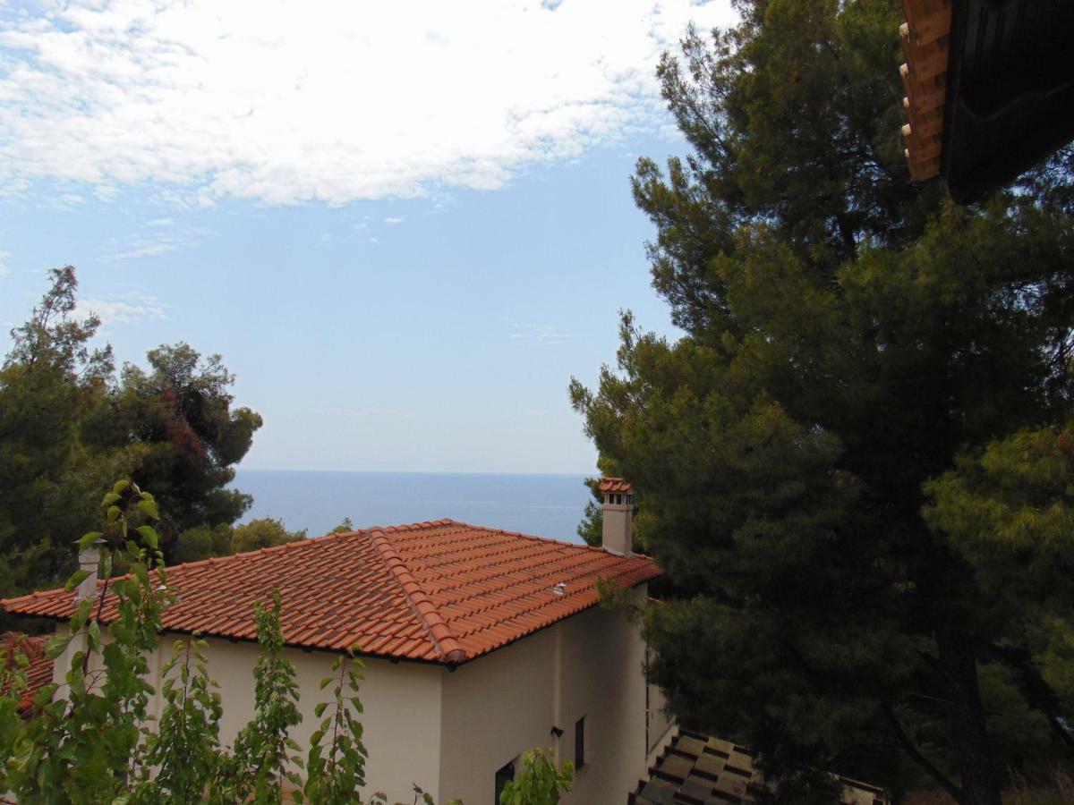 Izabella Sea Side Villa Siviri Buitenkant foto