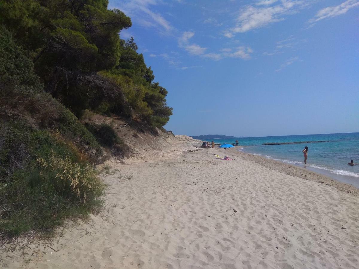 Izabella Sea Side Villa Siviri Buitenkant foto